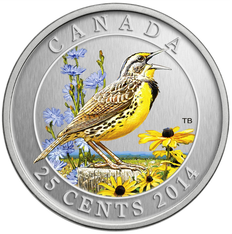 2014 25C EASTERN MEADOWLARK