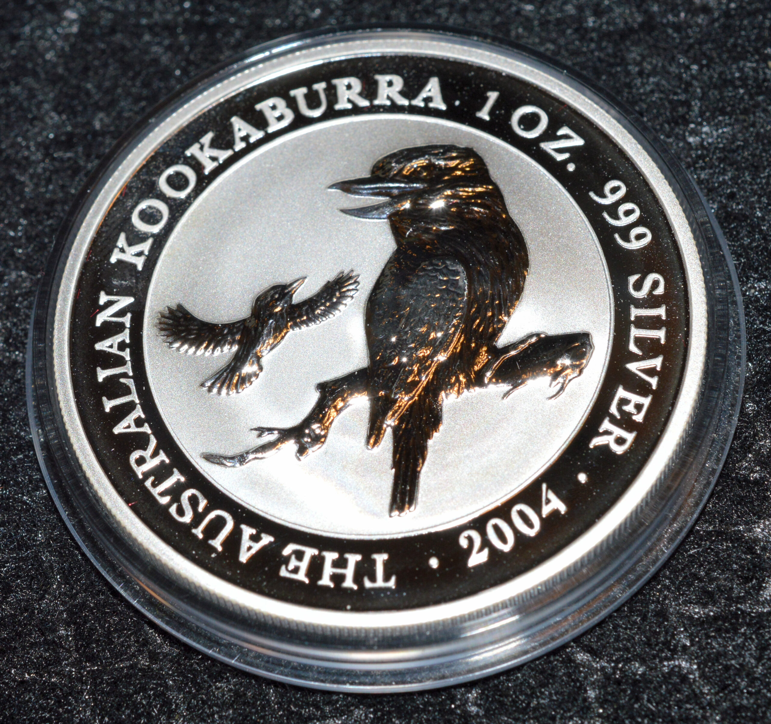 2004 Kookaburra