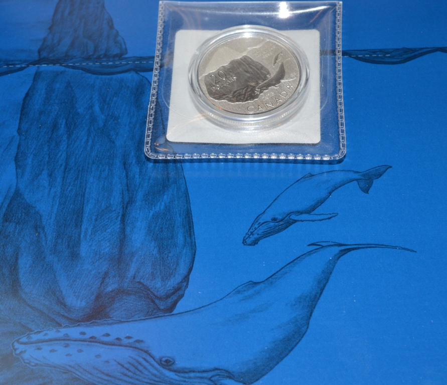 2013 $20 Iceberg Rev a